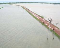 Kolleru Lake is renowned as one of the biggest lakes in India. The lake is also often known as Colair Lake. The lake extends to two main districts as 